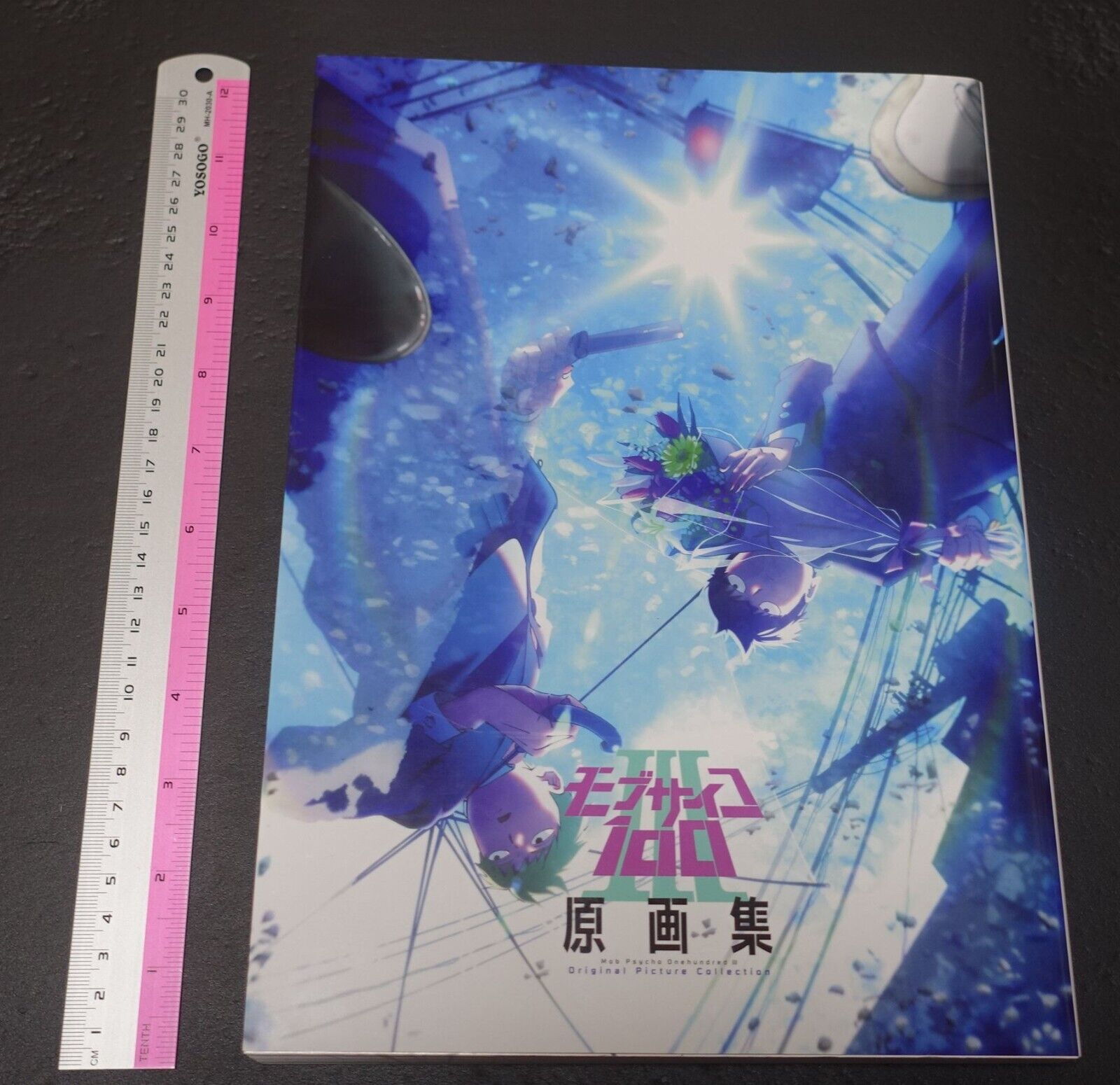 BONES Yoshimichi Kameda Mob Psycho 100 3 Key Frame Art Work Book 364 page