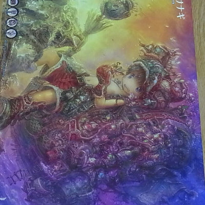 Akihito Tsukushi Doorbeetle Art Book Kaze no Sanagi