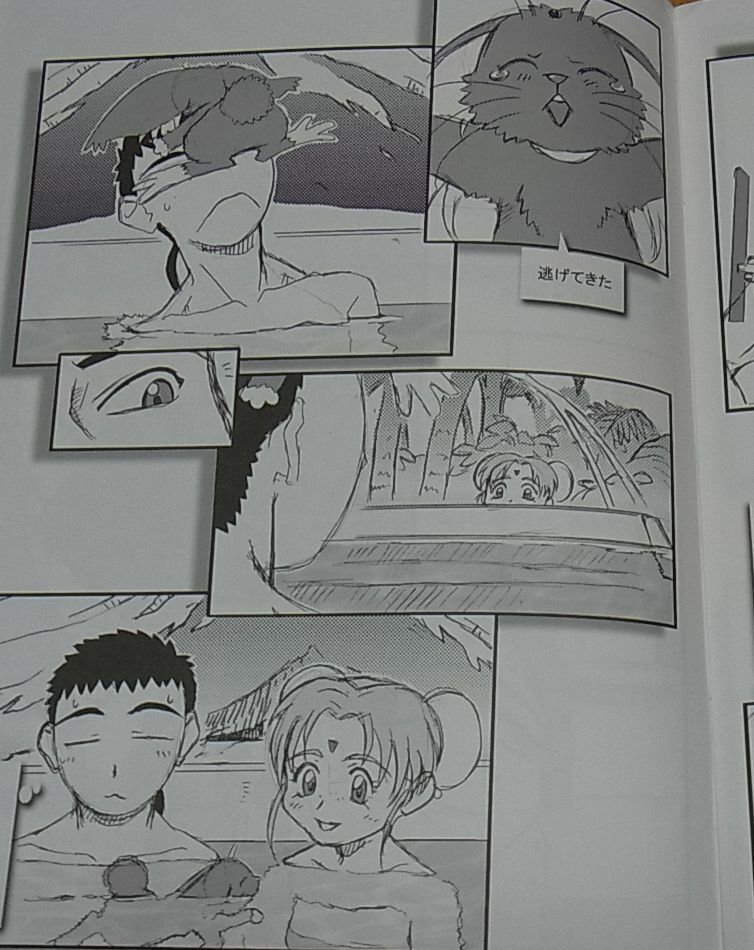 Tenchi Muyo Official Doujinshi Omatsuri zenjitsu no yoru Tenchi ver 12.12