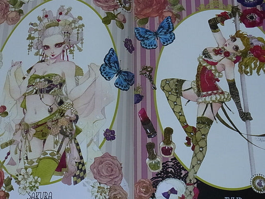 Sakizo Color Illustration Art Book FLOWER GIRL Sakizou