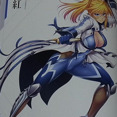TAIMANIN RPGX CHARACTER VISUAL ART BOOK Vol.1 ASAGI C97 NINJA GIRL