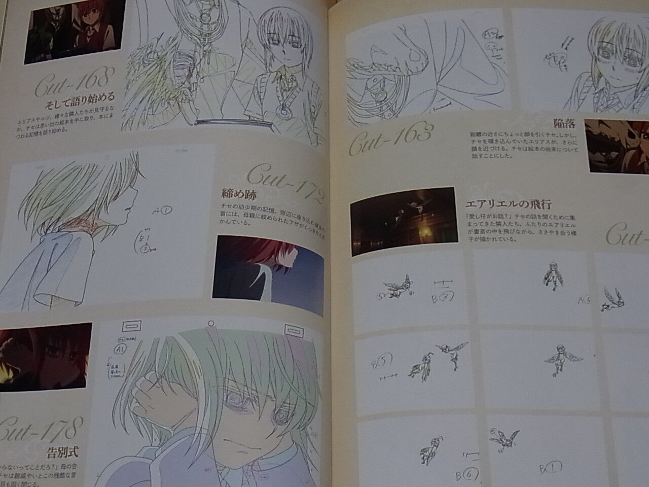 WIT STUDIO The Ancient Magus Bride Mahou Tsukai no Yome OVA Animation Works 1