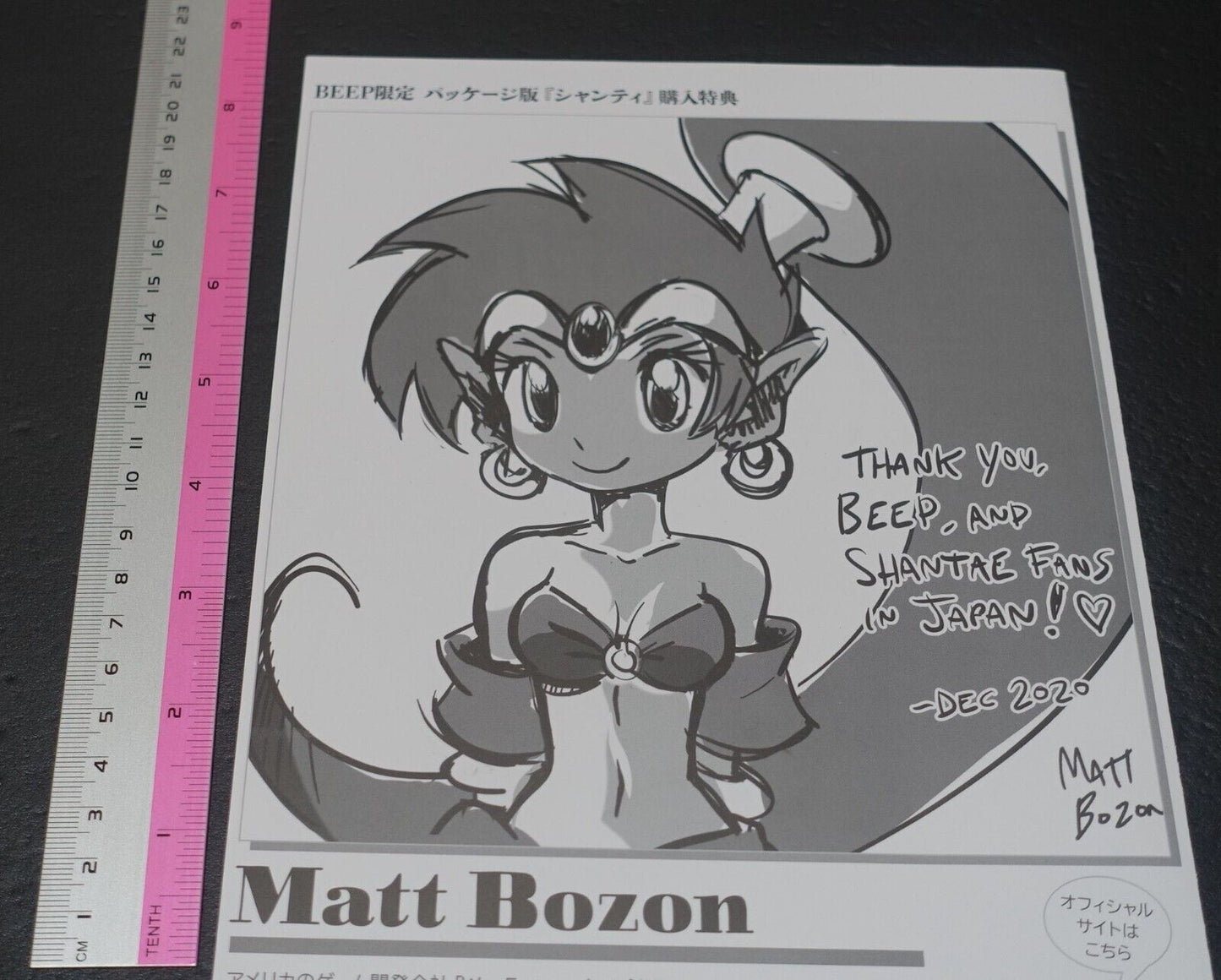 Shantae BEEP exclusive 4 page Booklet