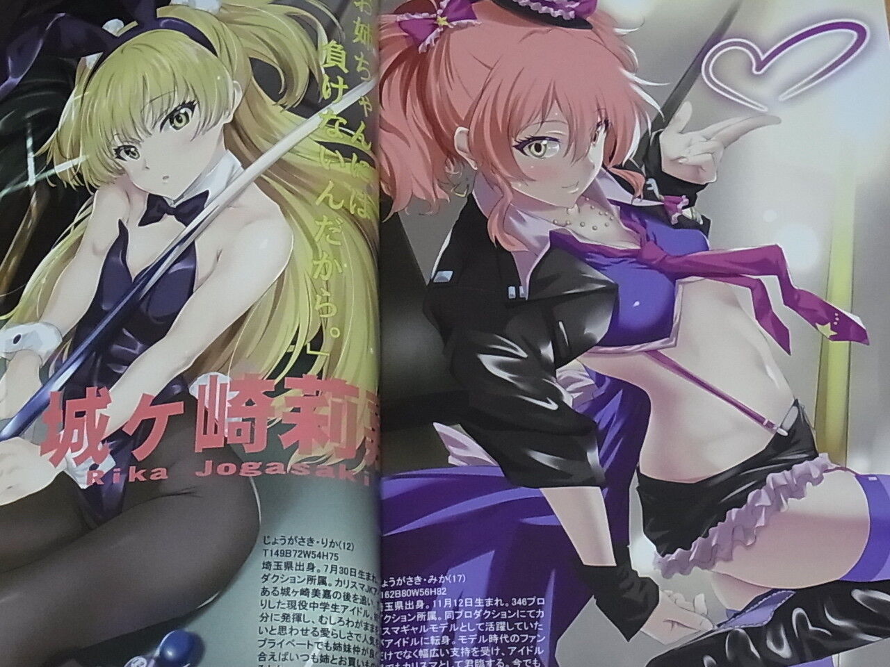 Hapisome Idol Master Cinderella Girls Color Fan Art Book Jitsuwa Deremaga