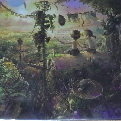 Akihito Tsukushi Art Clear File 2 Set Doorbeetle