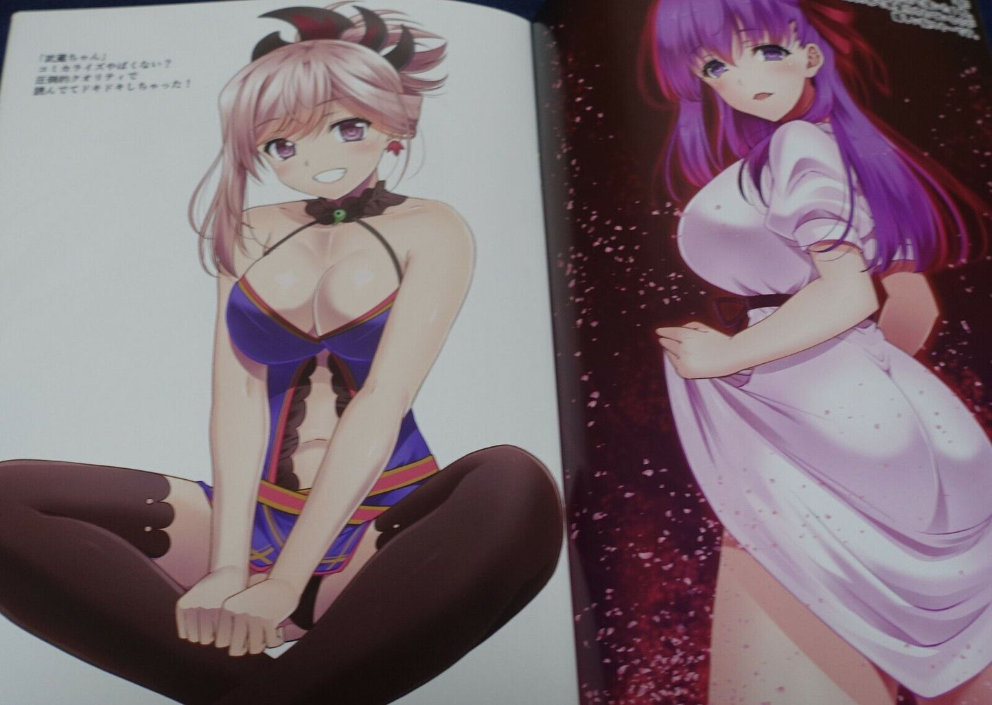 RED CROWN Fate Grand Order FGO Color Fan Art Book Redcrown Illustrations Mix
