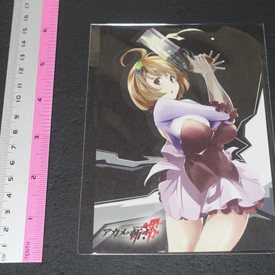 Akame ga Kill! Zero Privilege Art Card G Tsukushi