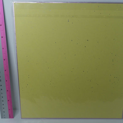 Darling in the Franxx Zero Two Printed Shikishi Art Board Mai Yoneyama