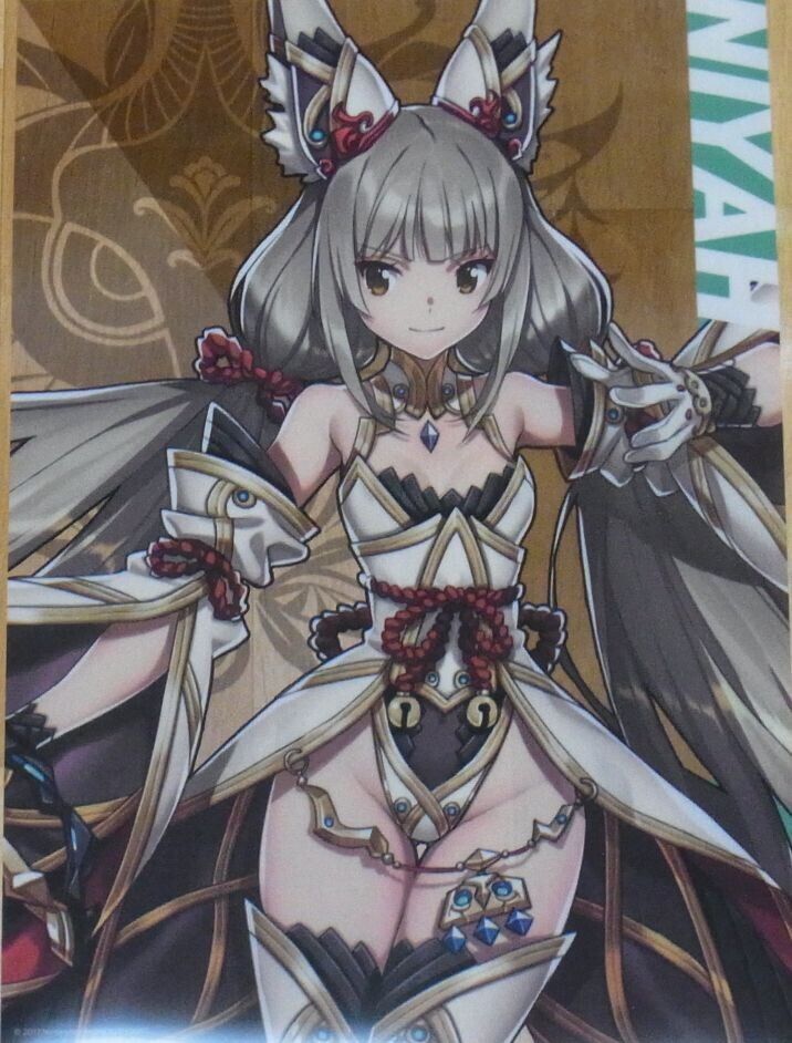 Nintendo Store Xenoblade2 A3 Size Plastic Clear Poster Xenoblade NIYAH Blade ver