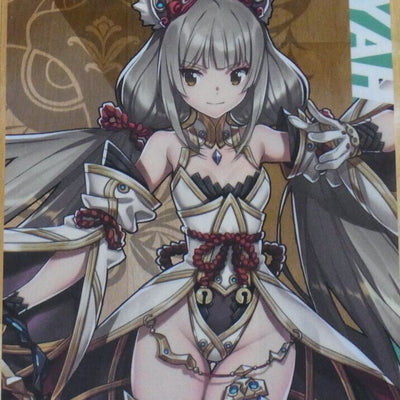 Nintendo Store Xenoblade2 A3 Size Plastic Clear Poster Xenoblade NIYAH Blade ver