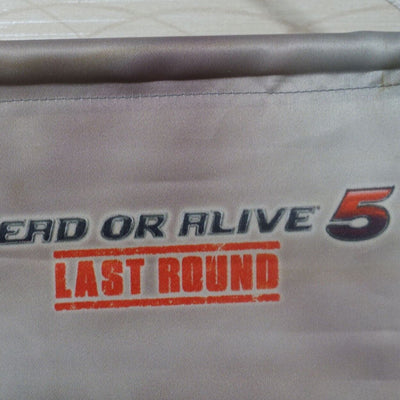 DEAD OR ALIVE 5 Last Round Ayane 51 x 72 cm Tapestry Wall Scroll