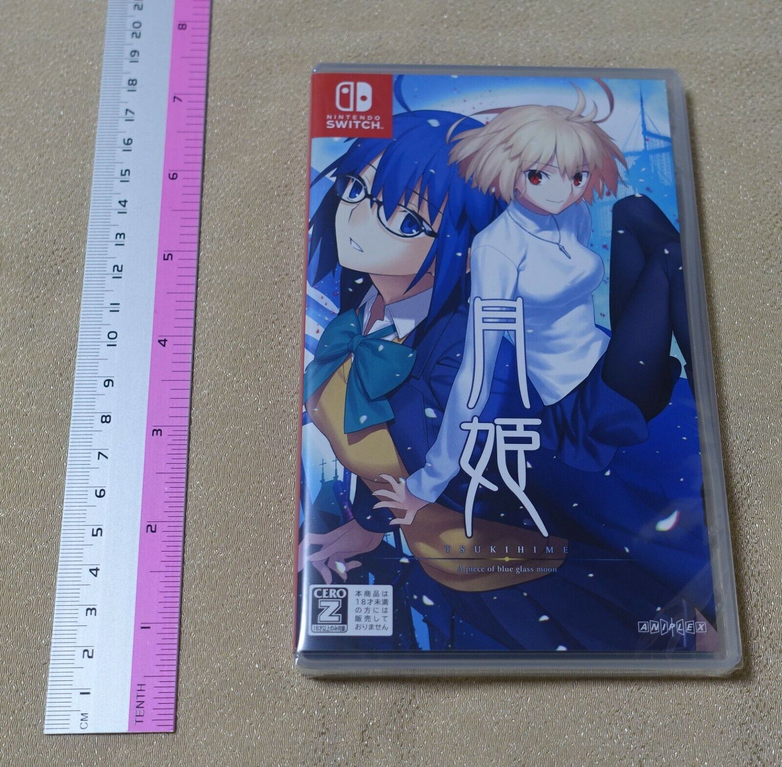 Japanese Nintendo Switch Tsukihime A piece of blue glass moon