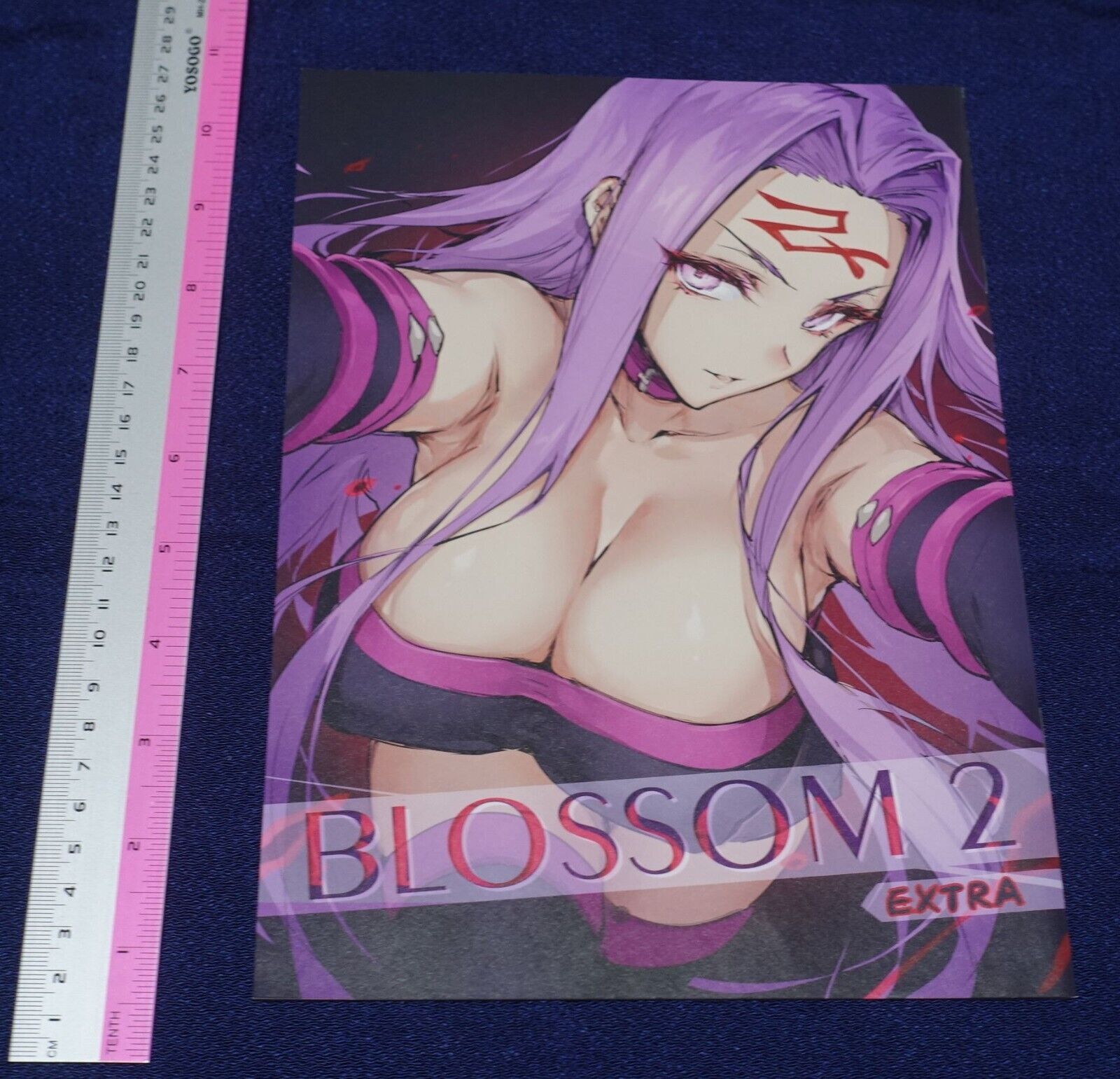 HO2 HAONI Fate Grand Order FGO Color Fan Art Book BLOSSOM2 Extra