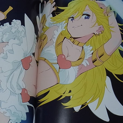Hiroyuki Imaishi Atsushi Nishikiori Panty & Stocking Sequel of Animation Story