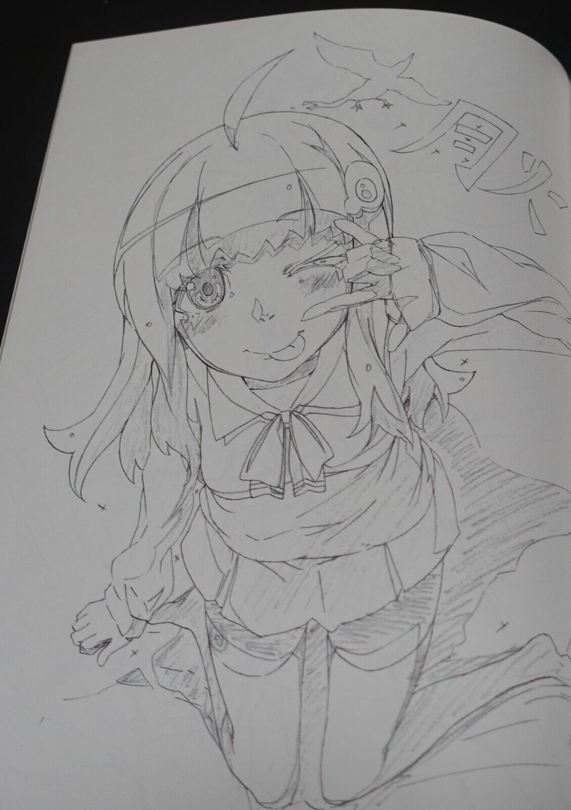 Yataneko Bakemonogatari Animation Staff's Fan Art Book no-no-sub