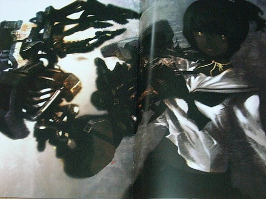 huke Color Art Book pic06 Black Rock Shooter Rare