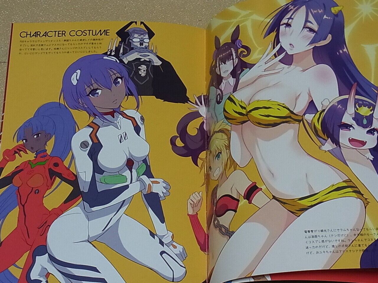ERIMO Fate FGO Color Fan Art Book COSTUME Fate Grand Order