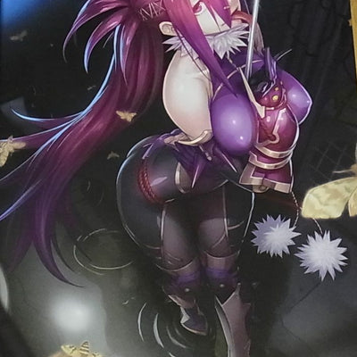 TAIMANIN ASAGI BATTLE ARENA CHARACTER VISUAL ART BOOK 9 NINJA GIRL 116page C95