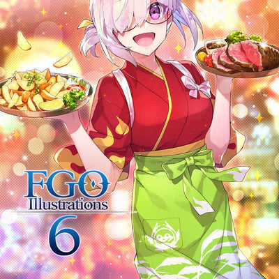 ReDrop & Raita Fate Grand Order Color Fan Art Book 11 Set FGO Illustrations