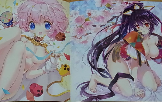 Alice Soft Rance 10 Kessen Privilege OST CD & Official Fan Art Book