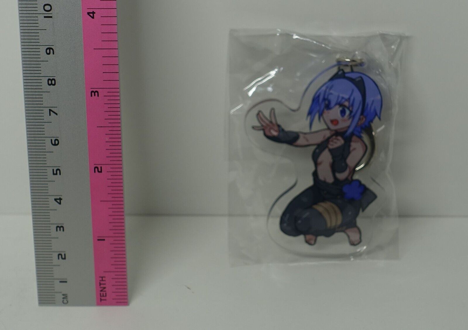 Torichamaru Fate Grand Order FGO Hassan of Serenity Fan Art Acrylic Key Chain