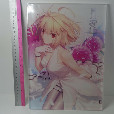 Tsukihime A piece of blue glass moon Arcueid Brunestud 21 x 29 cm Acrylic Panel