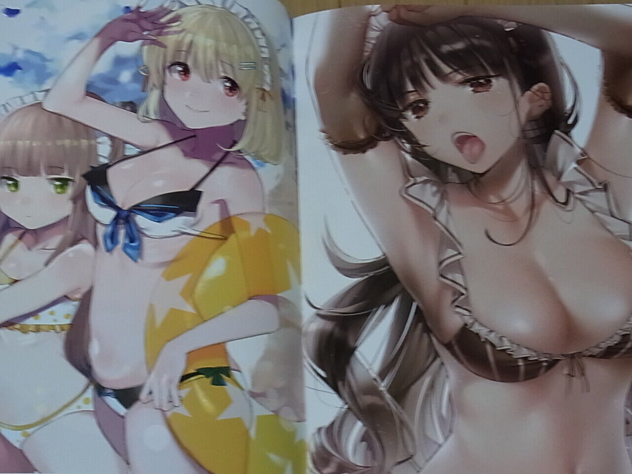 DS mile Original Color Art Book House Maids
