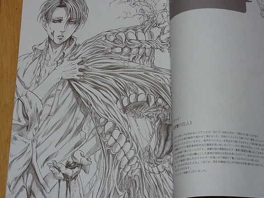Ai Yokoyama Japanese Characters Fan Art Book Re QUEST