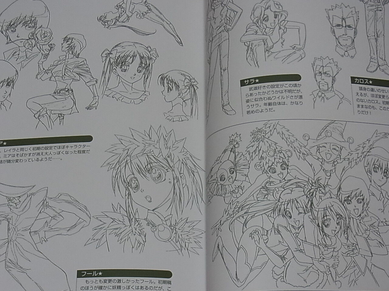 KALEIDO STAR Sugoi Stage Maboroshi no Oowaza Hen Episode & Settigng art book