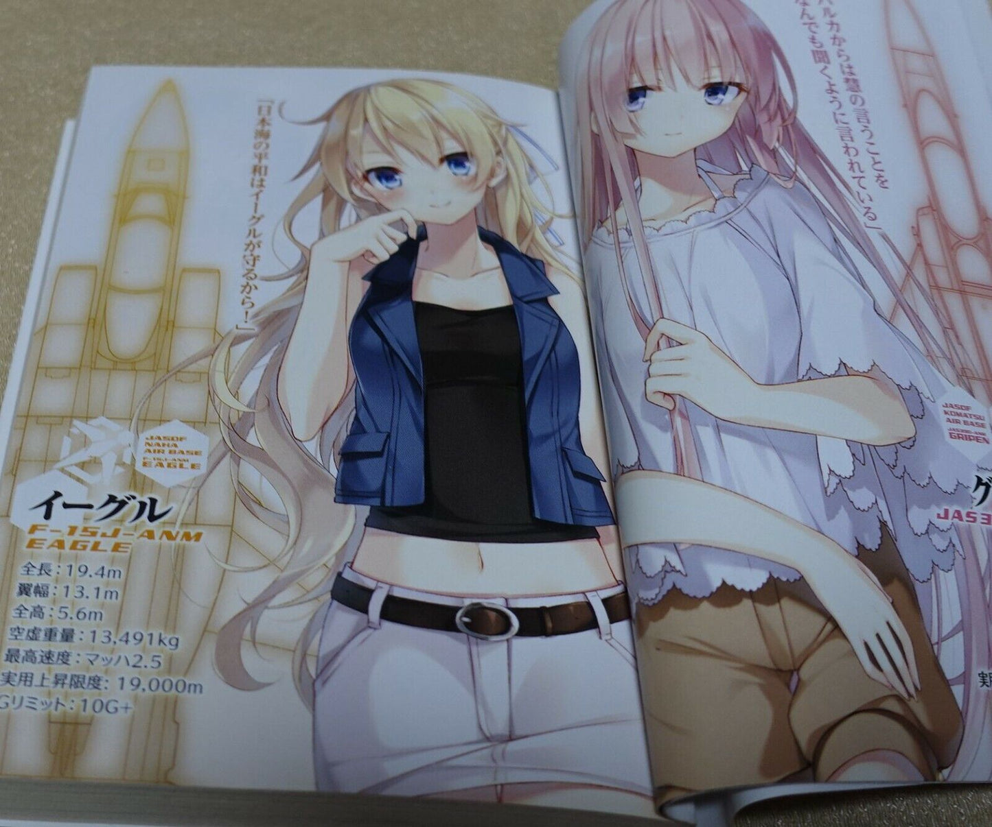Japanese comic & Novel Girly Air Force