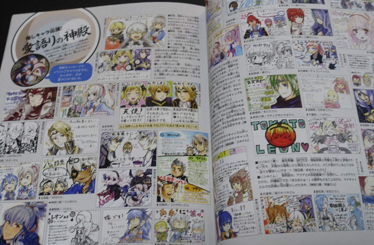 Fire Emblem If Fates Character Fan Book
