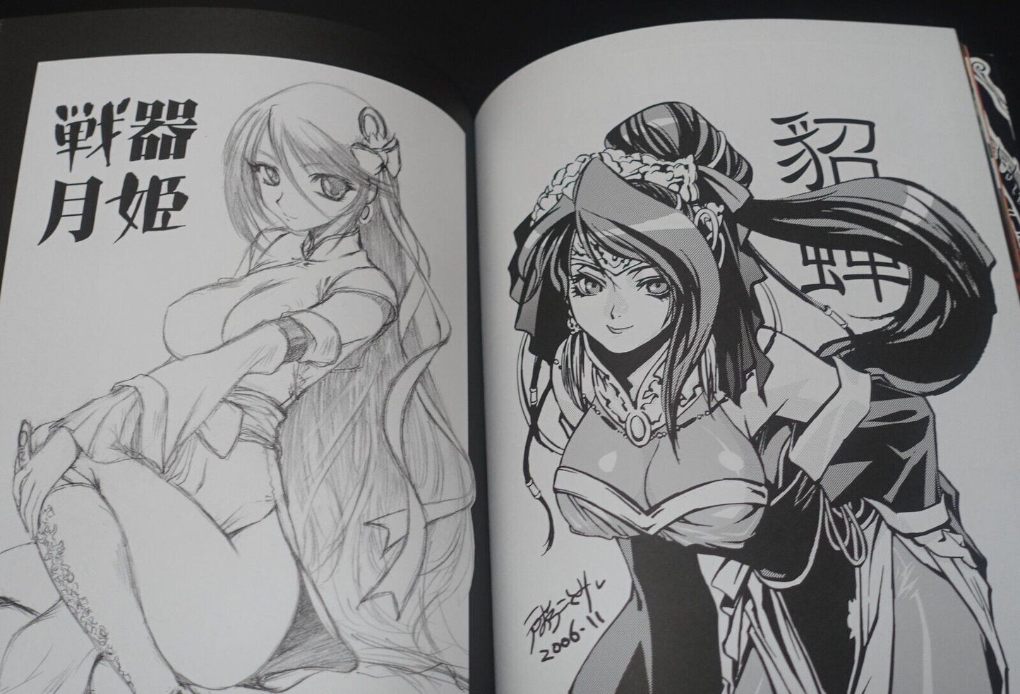 Raita Kazama Kaduki Kugawara Super Sangokushi Taisen Designer's Art Book