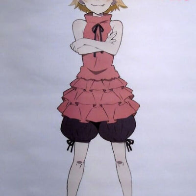 Bakemonogatari 42 x 29 cm Tapestry Kizukmonogatari Nekketsu hen