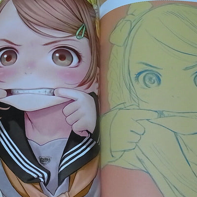 RANGE MURATA Color Art Book reminiscent tone C87