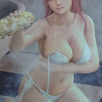 Dead Or Alive Xtreme 3 Privilege B2 BIG SIZE Bath Room POSTER Honoka