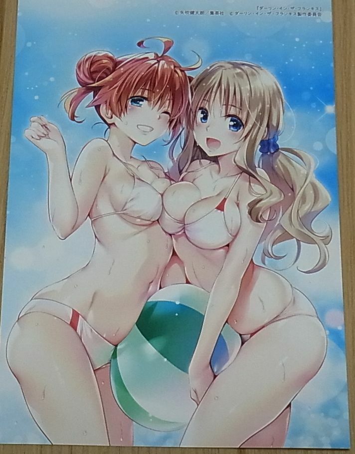 Darling in the Franxx Privilege Print Art Sheet Miku & Kokoro Kentaro Yabuki