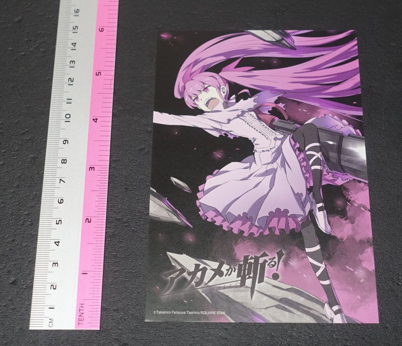 Tetsuya Tashiro Akame ga Kill! e-Wondergoo Privilege Art Post Card Mine