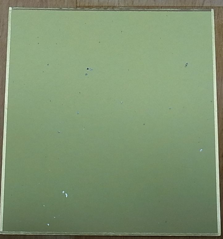 Koukyoushihen Eureka Seven Hi-Evolution Eureka & Anemone Print Shikishi Art Boa
