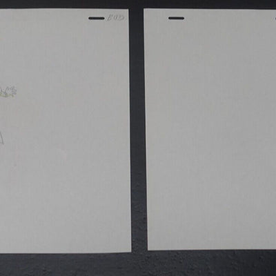 Cel & Raw Key Frame Art The Slayers Rina & Naga A6 & B13 Japanese Animation