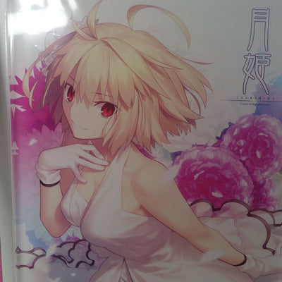 Tsukihime A piece of blue glass moon Arcueid Brunestud 21 x 29 cm Acrylic Panel