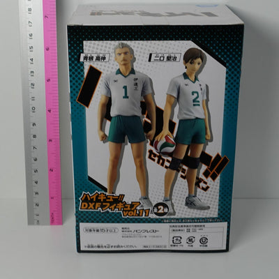 3-7 days from Japan Haikyuu Kenji Futakuchi DXF Figure Haikyu Haikyu!!