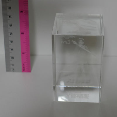 Attack on Titan Levi 3D Art Crystal USJ exclusive