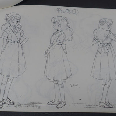 Pioneer LCD OVA Festival 94 Tenchi Muyo & Phantom Quest Corp. Setting Collection