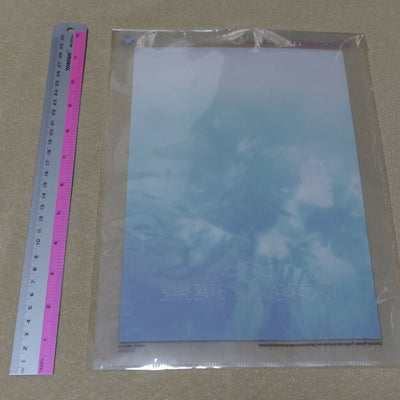 Pioneer Animation PVC Art Sheet Clear File & Post Card Haibane Renmei Rakka