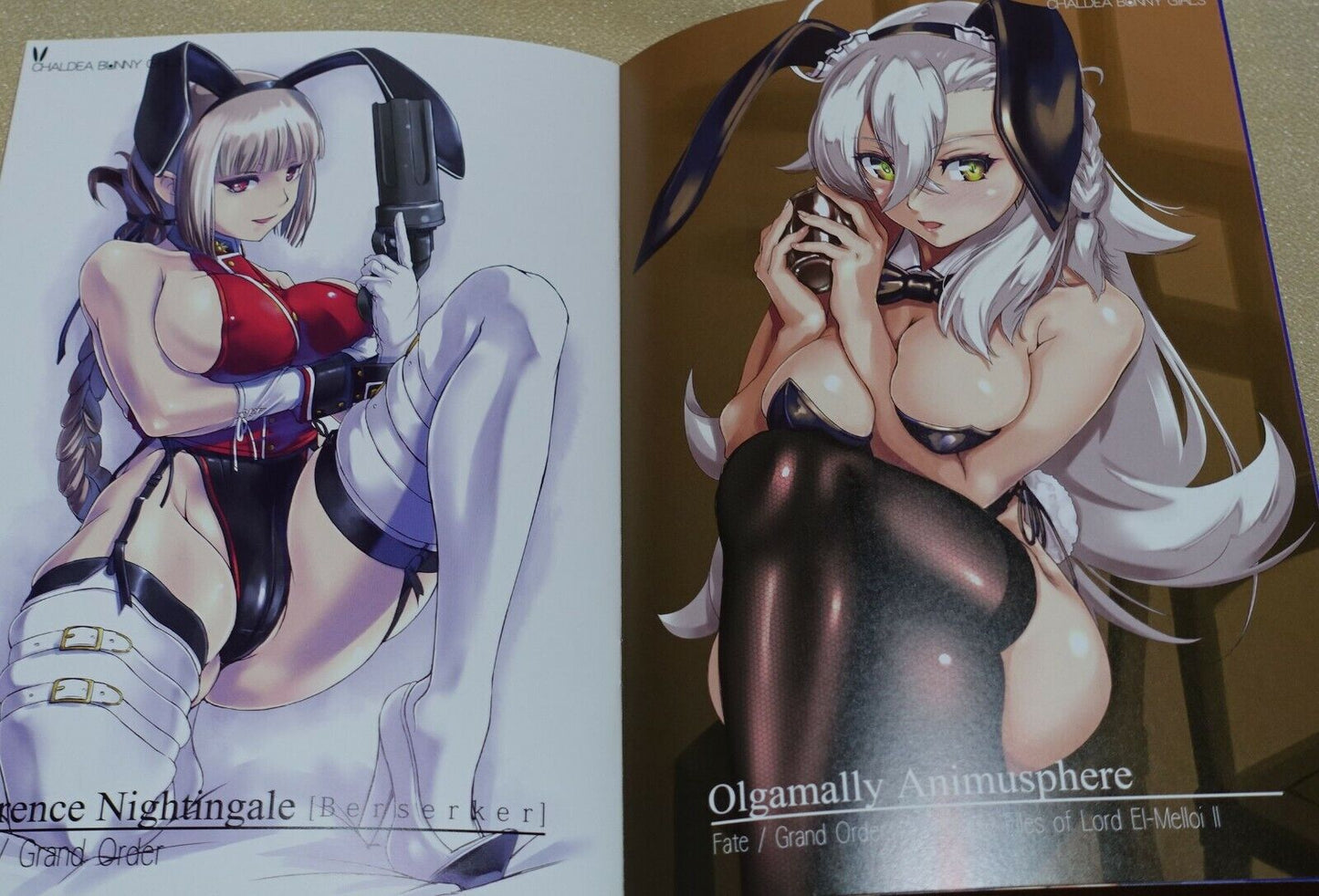 Nenchi Fate FGO Competition Swimsuit & Bunny Girls Color Fan Art Book Set