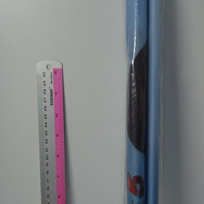 DEAD OR ALIVE 5 Leifang 51 x 72 cm Tapestry Wall Scroll