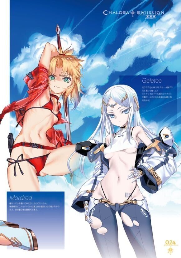 Chocolate Shop FGO Melusine Designer's Art Book Chaldea Emission 1-3 Pre-Order