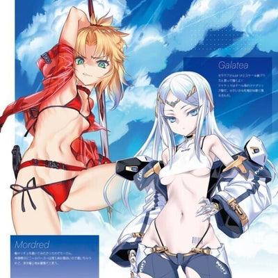 Chocolate Shop FGO Melusine Designer's Art Book Chaldea Emission 1-3 Pre-Order