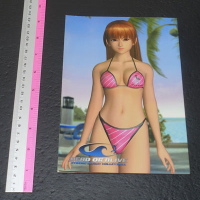 Dead Or Alive Xtreme DOA Characters Swim Suit Art Book