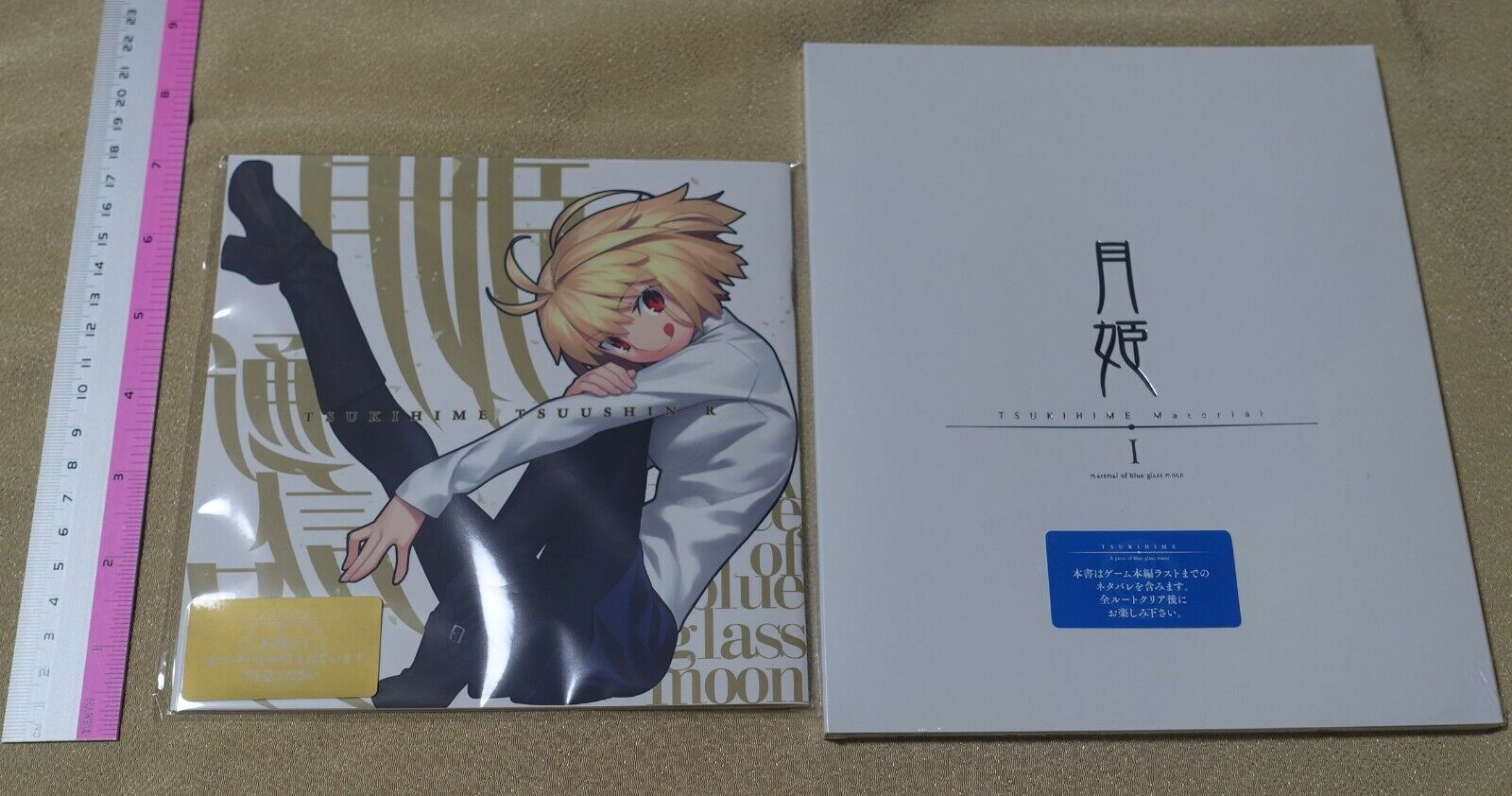 Tsukihime A piece of blue glass moon Staff Book & Setting Art Book